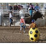 1993-07-01-cgraProRodeo-002.jpg   110.8K