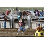 1993-07-01-cgraProRodeo-003.jpg   124.3K