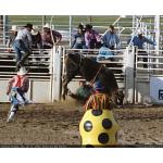 1993-07-01-cgraProRodeo-004.jpg   113.0K