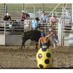 1993-07-01-cgraProRodeo-005.jpg   103.8K