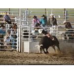 1993-07-01-cgraProRodeo-008.jpg   120.8K