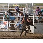 1993-07-01-cgraProRodeo-009.jpg   114.8K