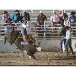 1993-07-01-cgraProRodeo-012.jpg   120.4K