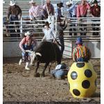 1993-07-01-cgraProRodeo-014.jpg   97.2K