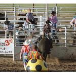 1993-07-01-cgraProRodeo-015.jpg   104.2K