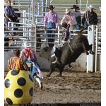 1993-07-01-cgraProRodeo-017.jpg   95.2K