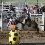 1993-07-01-cgraProRodeo-018.jpg   104.0K