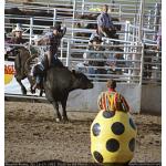 1993-07-01-cgraProRodeo-019.jpg   96.3K