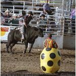 1993-07-01-cgraProRodeo-020.jpg   100.0K