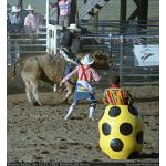 1993-07-01-cgraProRodeo-021.jpg   89.5K