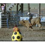 1993-07-01-cgraProRodeo-022.jpg   107.6K